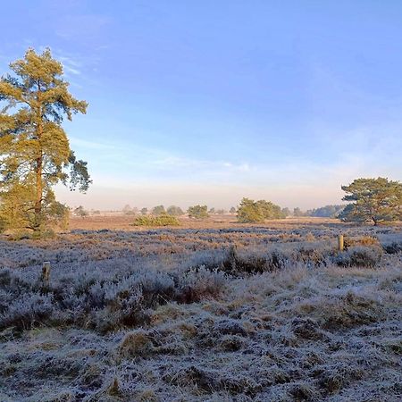 Chalet 42 'Vuursteenberg' Bospark Ijsselheide Zwolle Hattemerbroek Zewnętrze zdjęcie