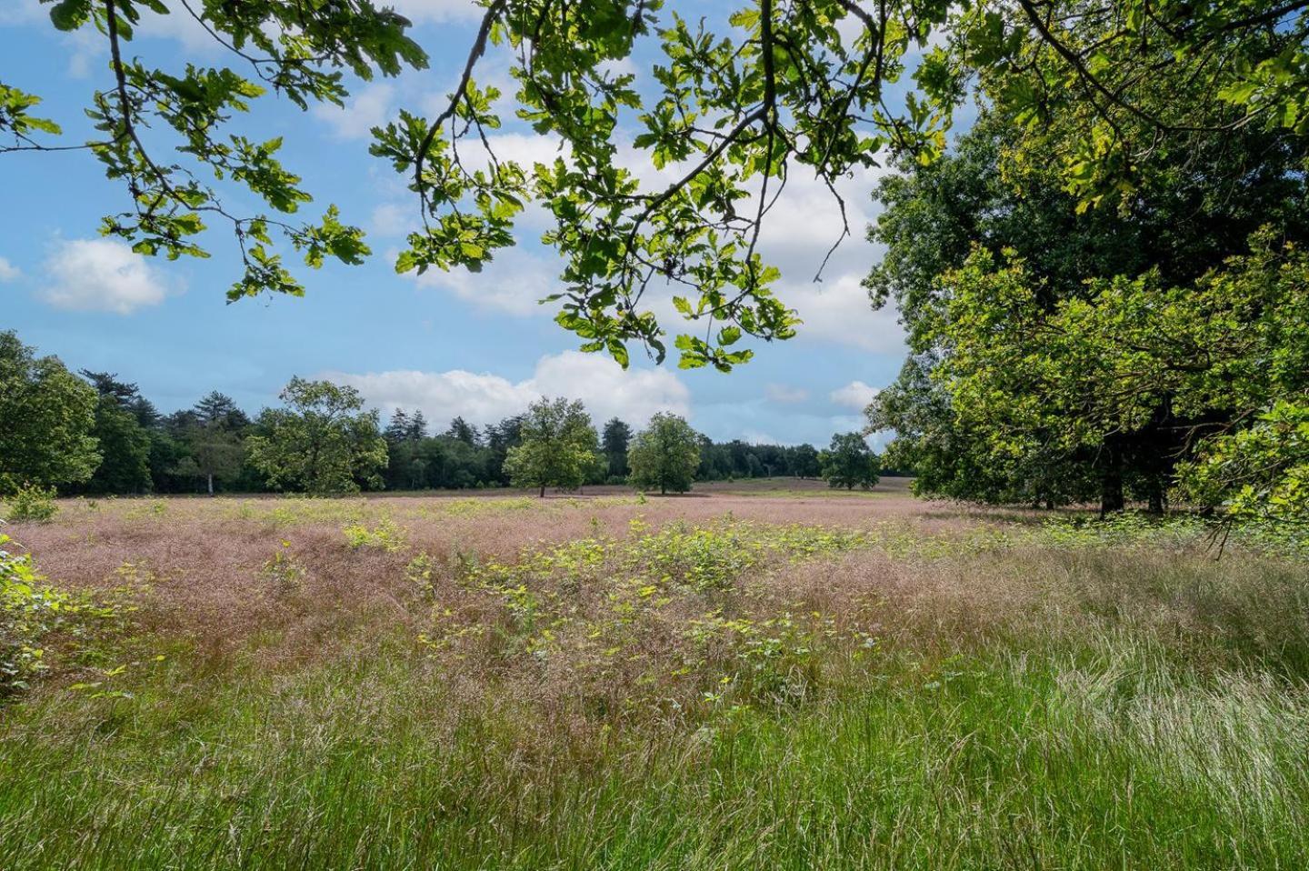 Chalet 42 'Vuursteenberg' Bospark Ijsselheide Zwolle Hattemerbroek Zewnętrze zdjęcie