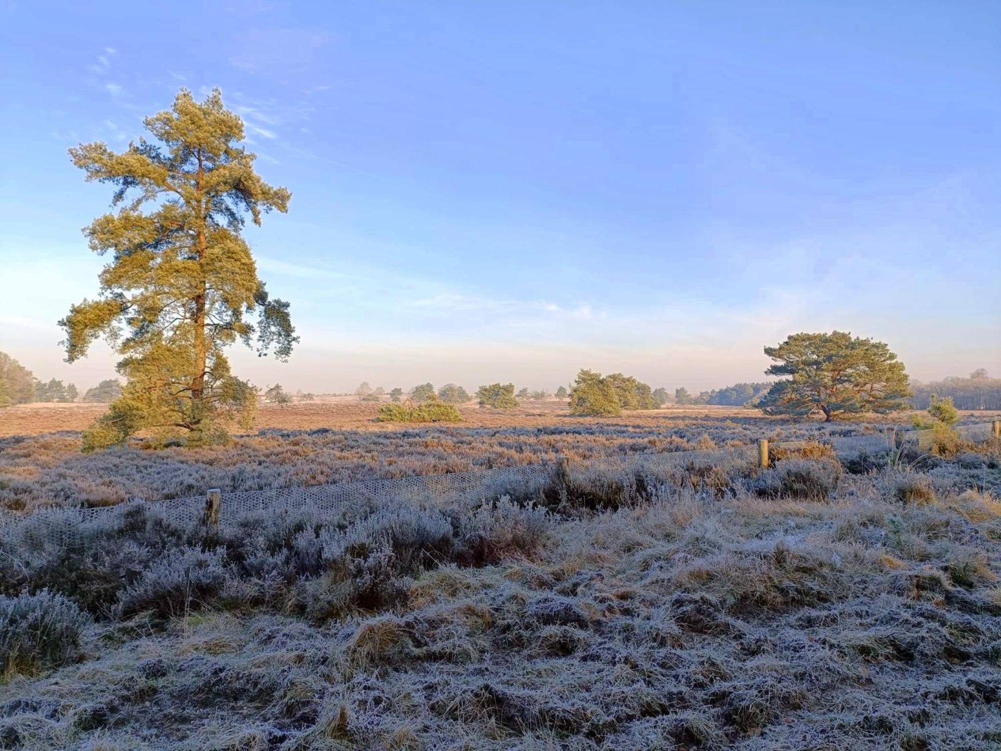Chalet 42 'Vuursteenberg' Bospark Ijsselheide Zwolle Hattemerbroek Zewnętrze zdjęcie